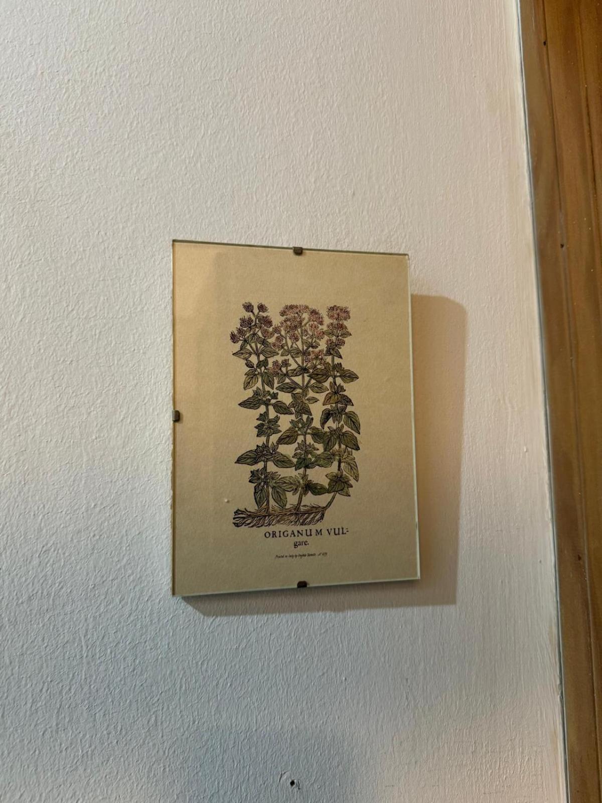 Apartamento Casa Palacio 1890. El Puerto de Santa María Extérieur photo
